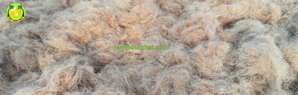 HUY THINH PHAT IMPORT EXPORT CO.,LTD